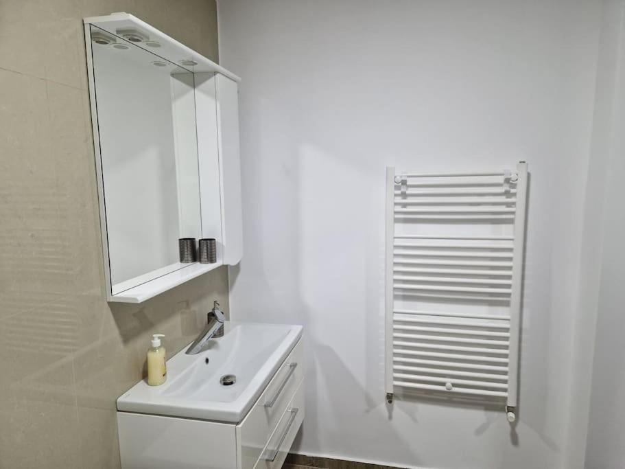 Danube Double Apartment Braila Bagian luar foto