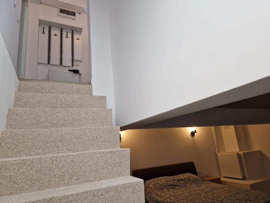 Danube Double Apartment Braila Bagian luar foto